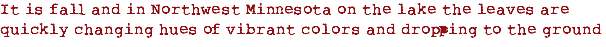 It is fall and in Northwest Minnesota on the lake the leaves are quickly changing hues of vibrant colors and dropping to the ground